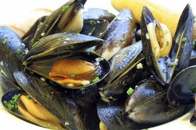 mussels mussels